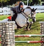 Picture: 7 yo gelding by Arpeggio, WEF 15