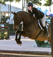 Picture: 13 yo mare by Calido, Lexington 2015