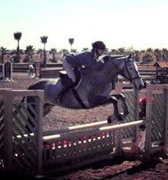 Picture: 5 yo gelding by Cassus, winning baby green